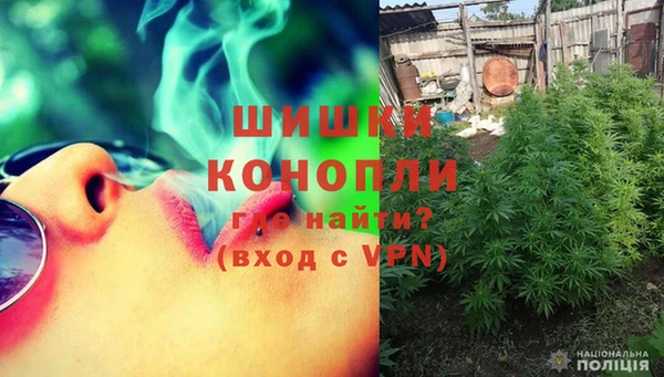 шишки Абинск