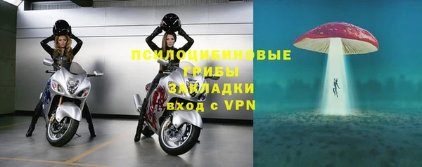 шишки Абинск