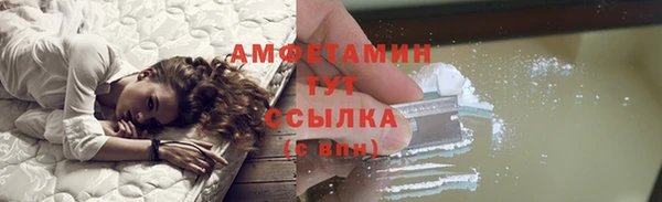хмурый Абаза