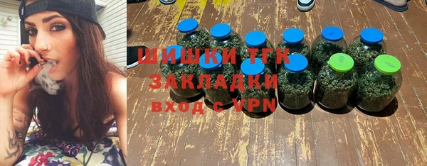 хмурый Абаза