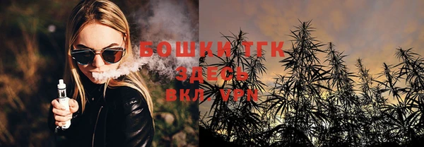 хмурый Абаза