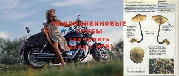 шишки Абинск