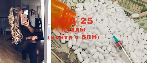 хмурый Абаза